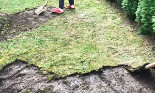Снятие дерна старого газона в Сосновом Бору – от 522 руб. | ГОСТСТРОЙ